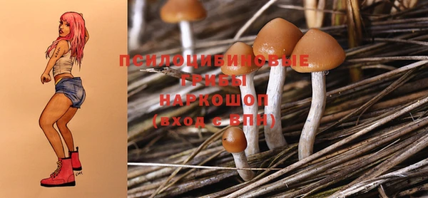 MDMA Premium VHQ Медвежьегорск