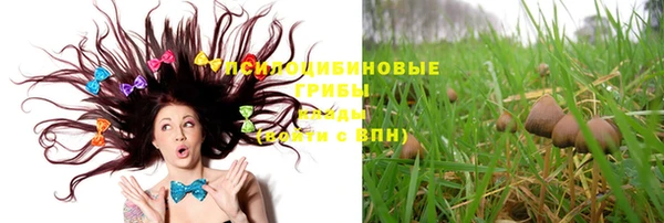 мет Мегион