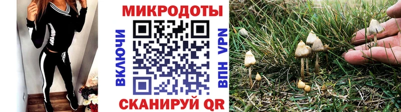 Купить где  Кяхта  Псилоцибиновые грибы Psilocybine cubensis 